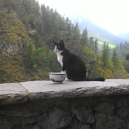 Locanda Degli Elfi E Ristorante Mascha Parpaja 3*
